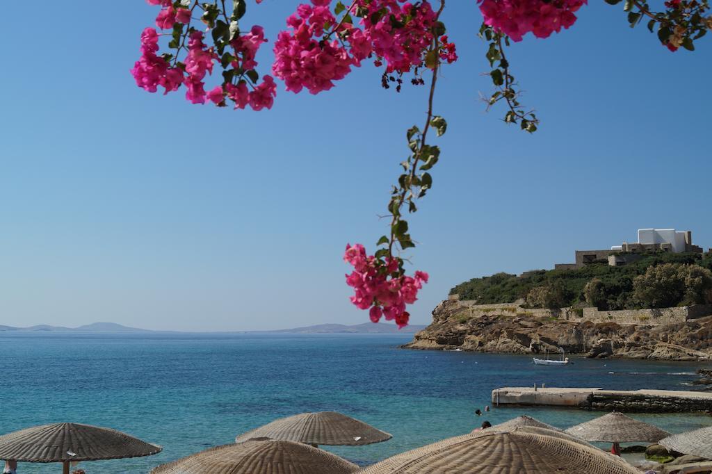 Amazing View Hotel Apartments Agios Stefanos  Exterior photo